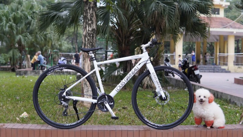 Louis garneau chasse 2025 ( Bản thể thao ) - Hình ảnh 4
