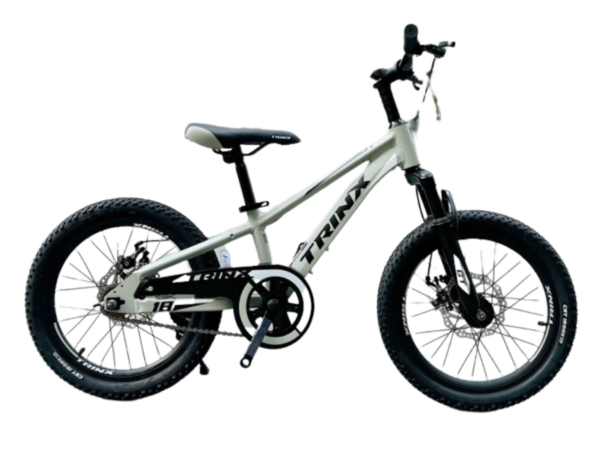 Trinx GT18