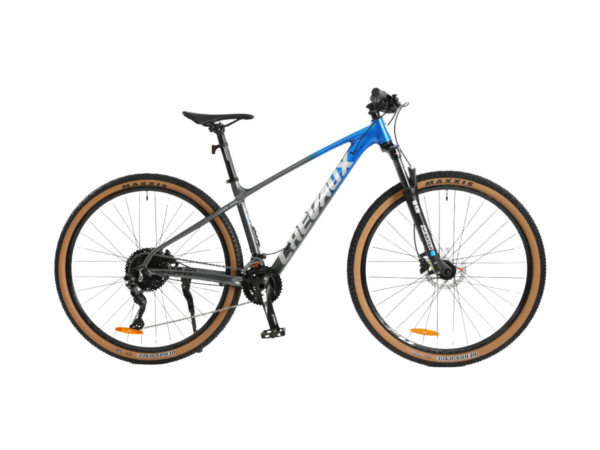 Chevaux Toto 2024