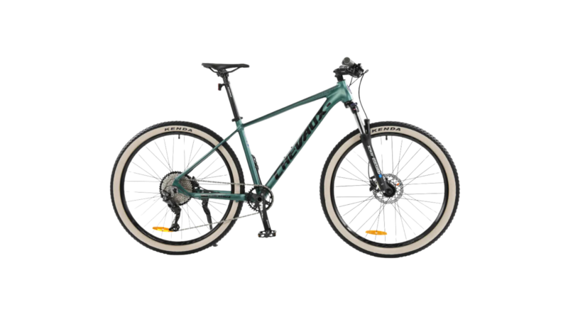 Chevaux Yoko 2024 - Hình ảnh 4