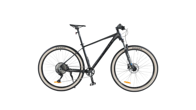 Chevaux Yoko 2024 - Hình ảnh 3