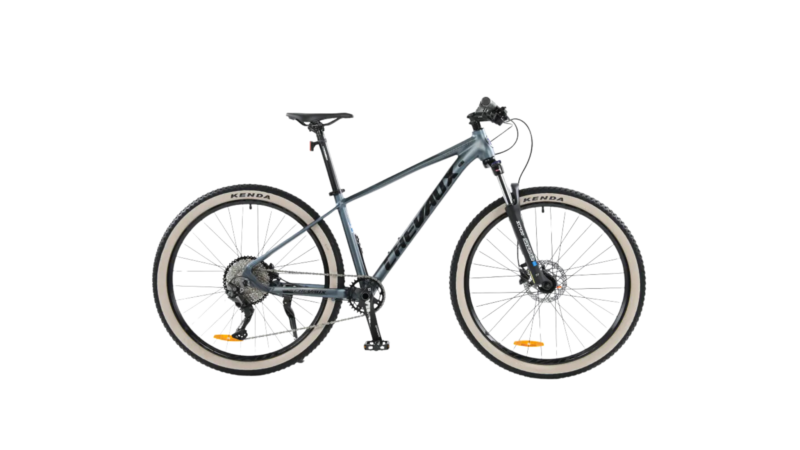 Chevaux Yoko 2024 - Hình ảnh 2