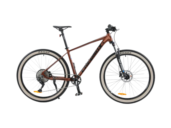 Chevaux Yoko 2024