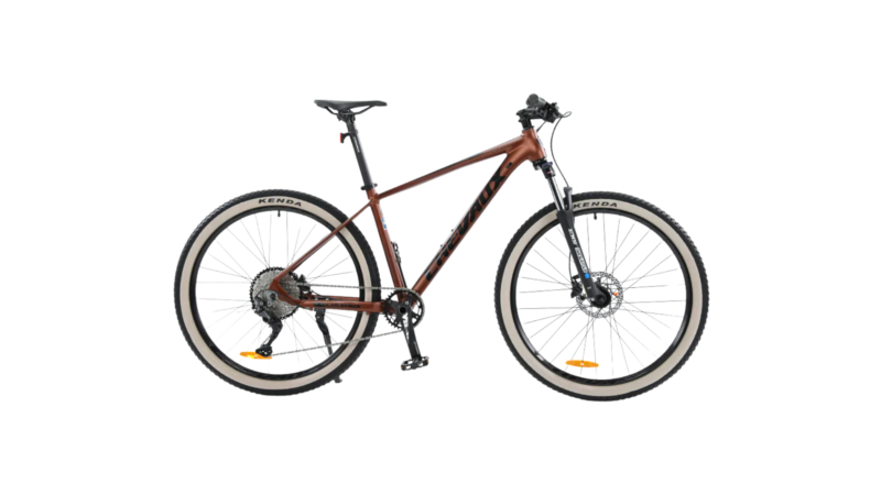 Chevaux Yoko 2024