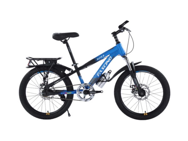 FASCINO 120