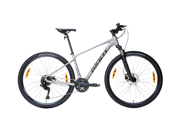 GIANT Roam 3
