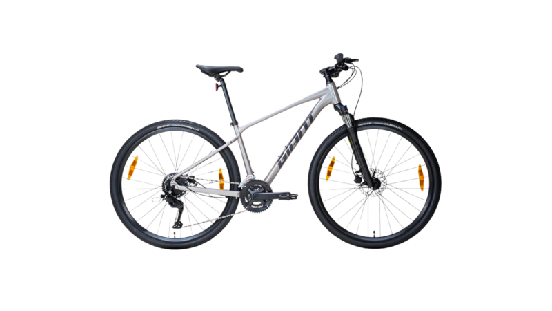 GIANT Roam 3
