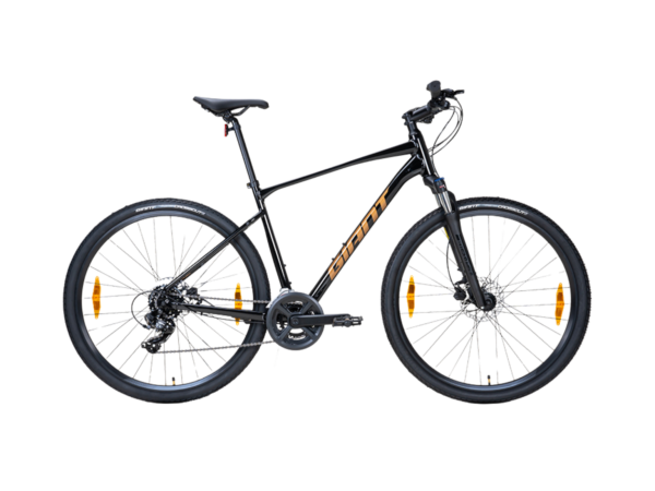 GIANT Roam 4