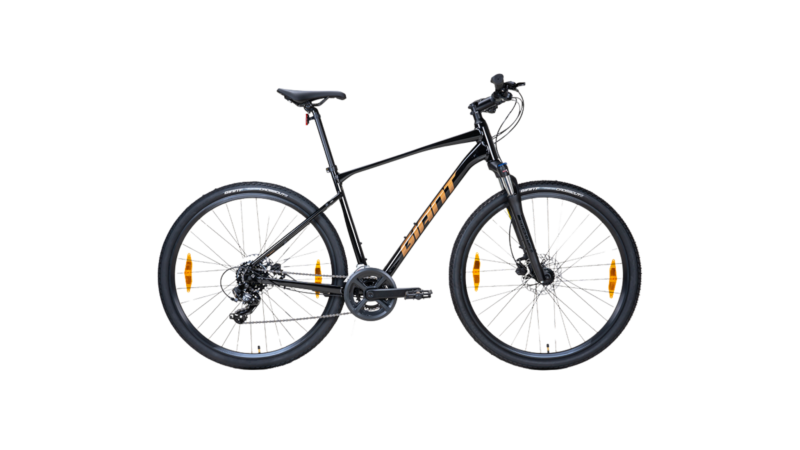 GIANT Roam 4